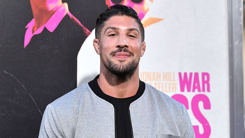 Brendan Schaub MMA record