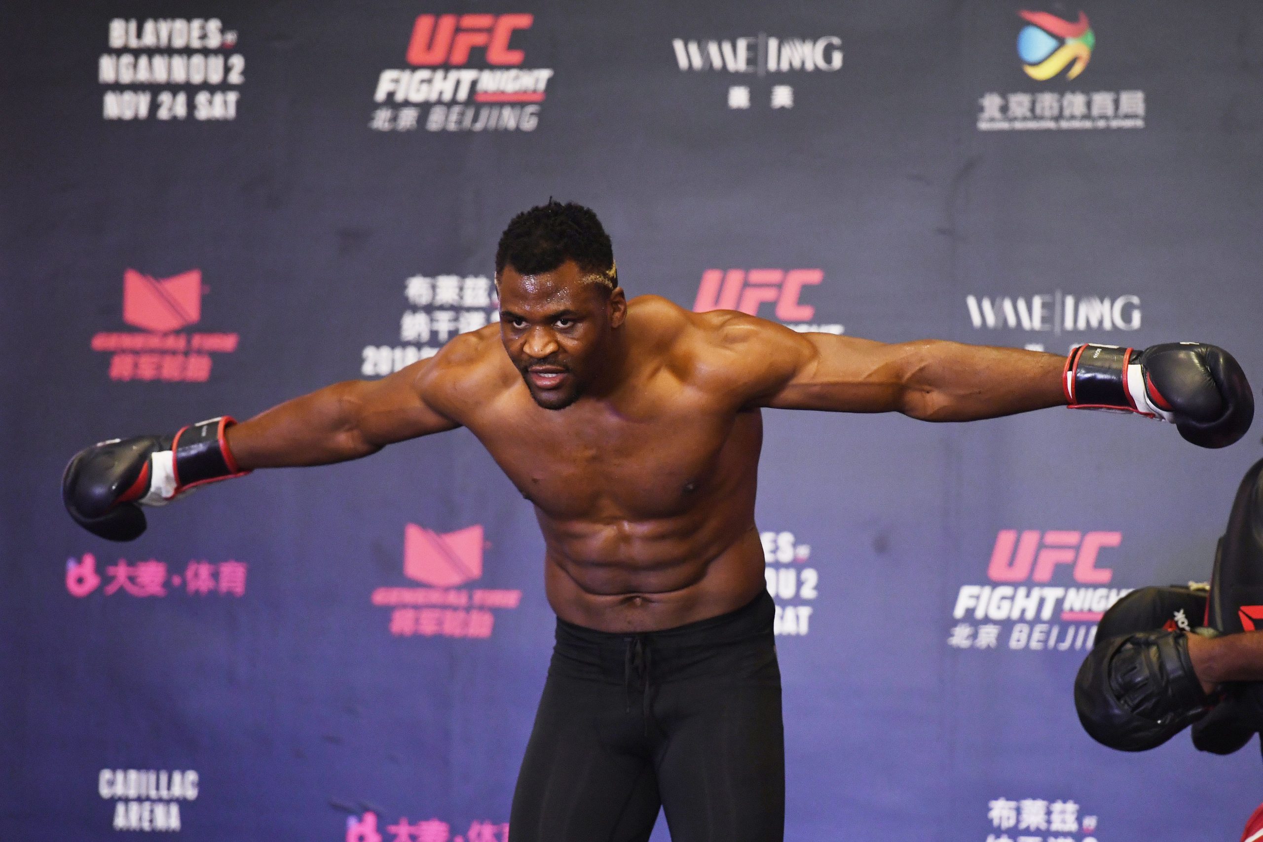 Francis Ngannou is one of the top stars in the UFC and here is more about his knockouts, net worth and career