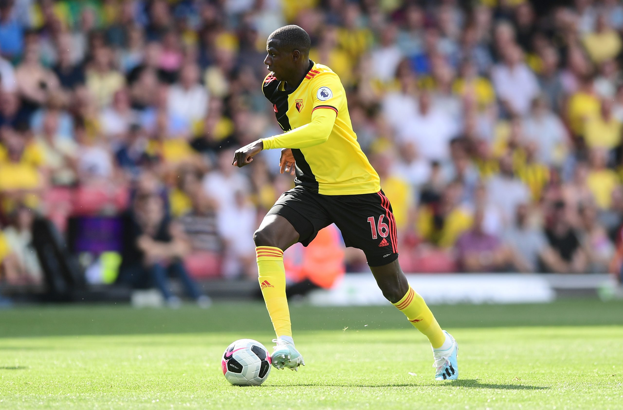 Abdoulaye Doucoure has been one of the best players in Watford's squad (Getty Images)