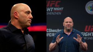 Joe Rogan joked that Dana White was second only to the president of the US