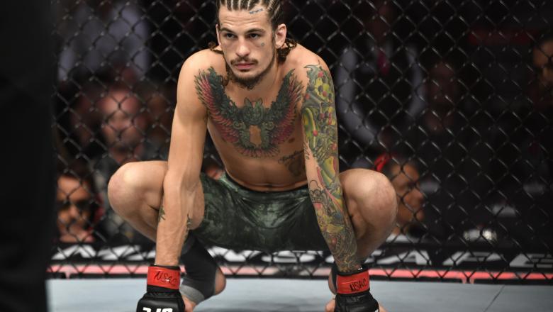 Sean O'Malley is undefeated in his UFC career