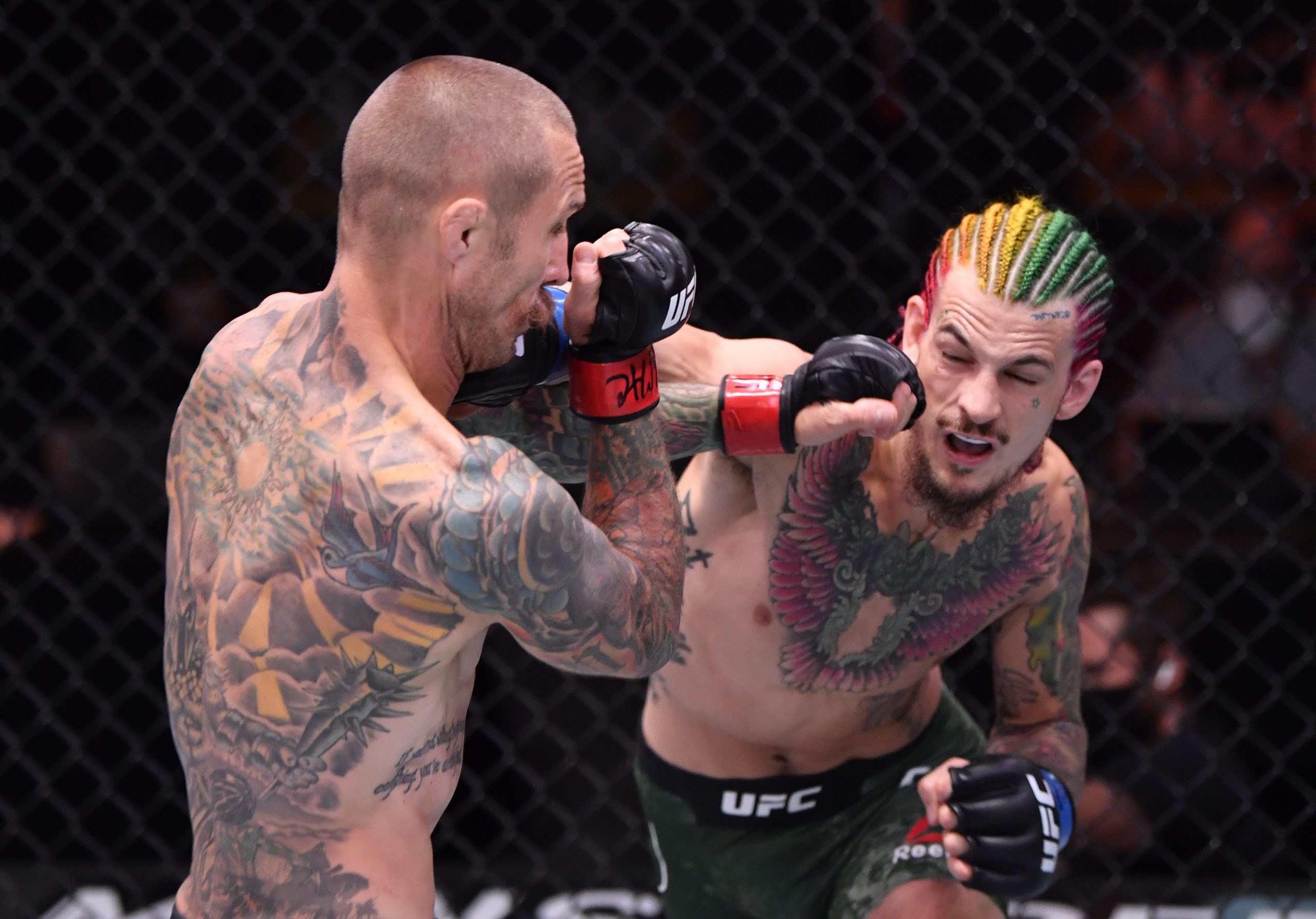 Sean O'Malley got another fantastic knockout at UFC 250