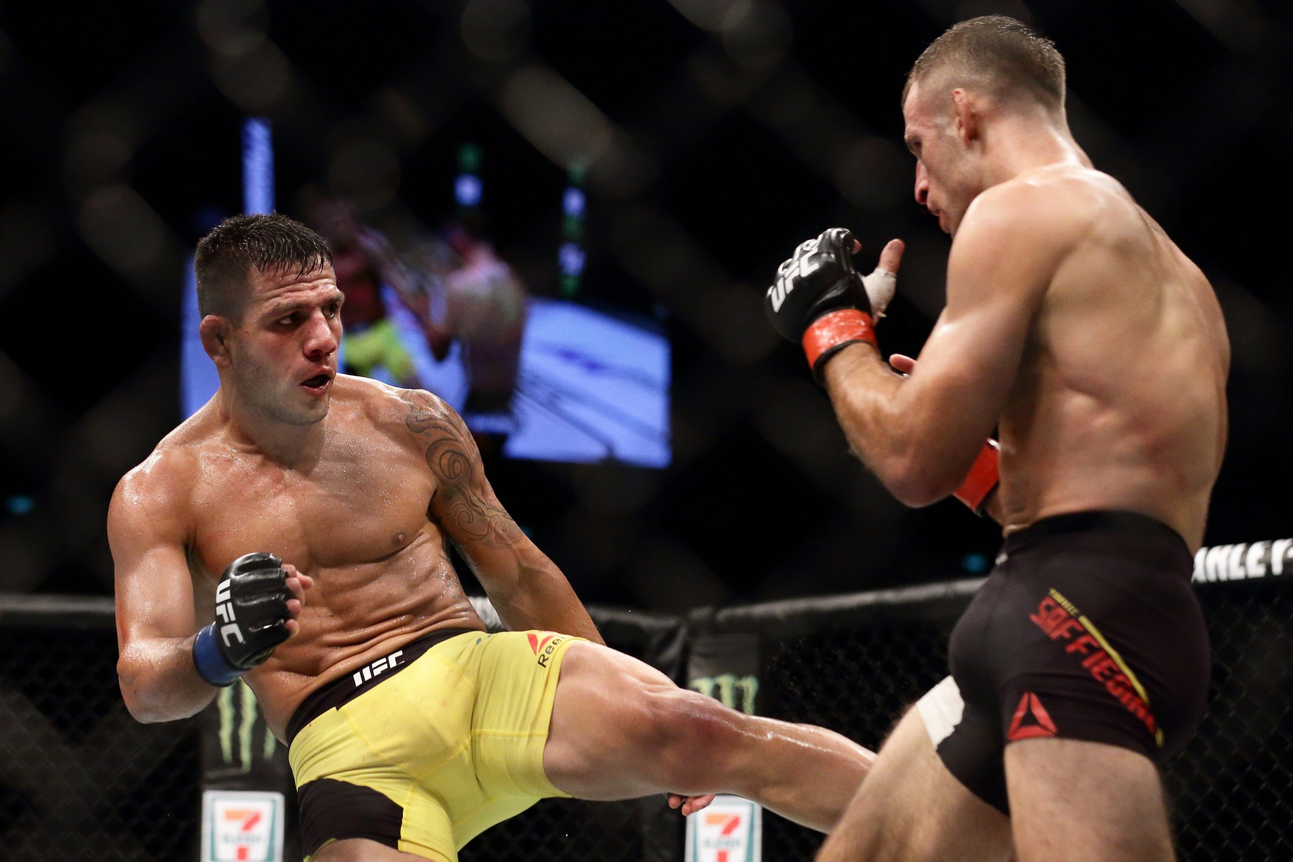 Rafael dos Anjos is a former UFC Champion