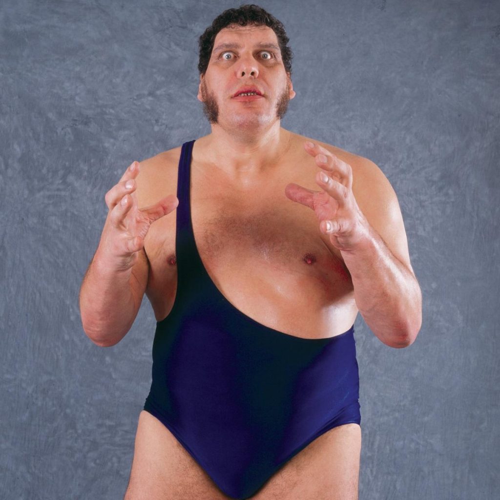 Andre the Giant