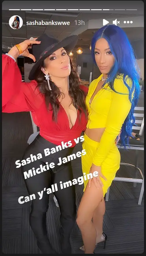 Sasha Banks and Mickie James