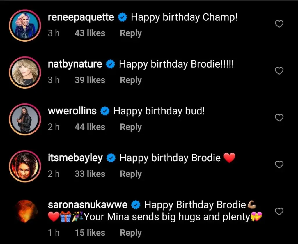Wrestling stars wish Brodie Lee Jr on his birthday. (Image Credits: @mandahuber on Instagram)