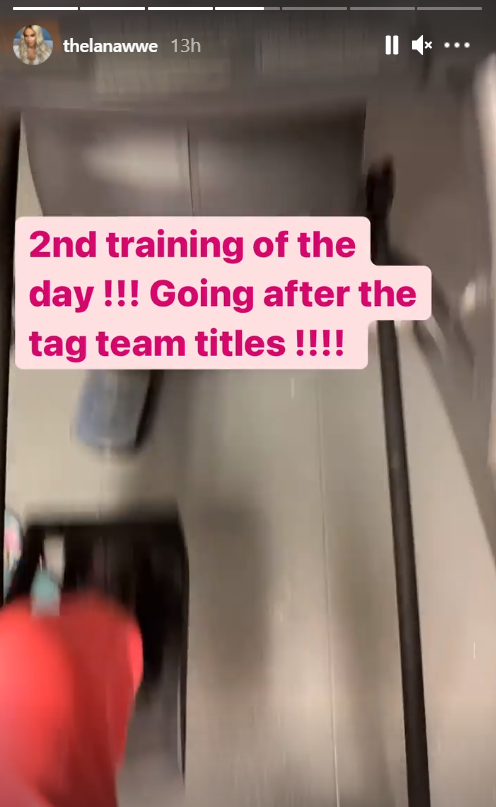 Lana wants the WWE tag team title. (Image Credits: @thelanawwe on Instagram)