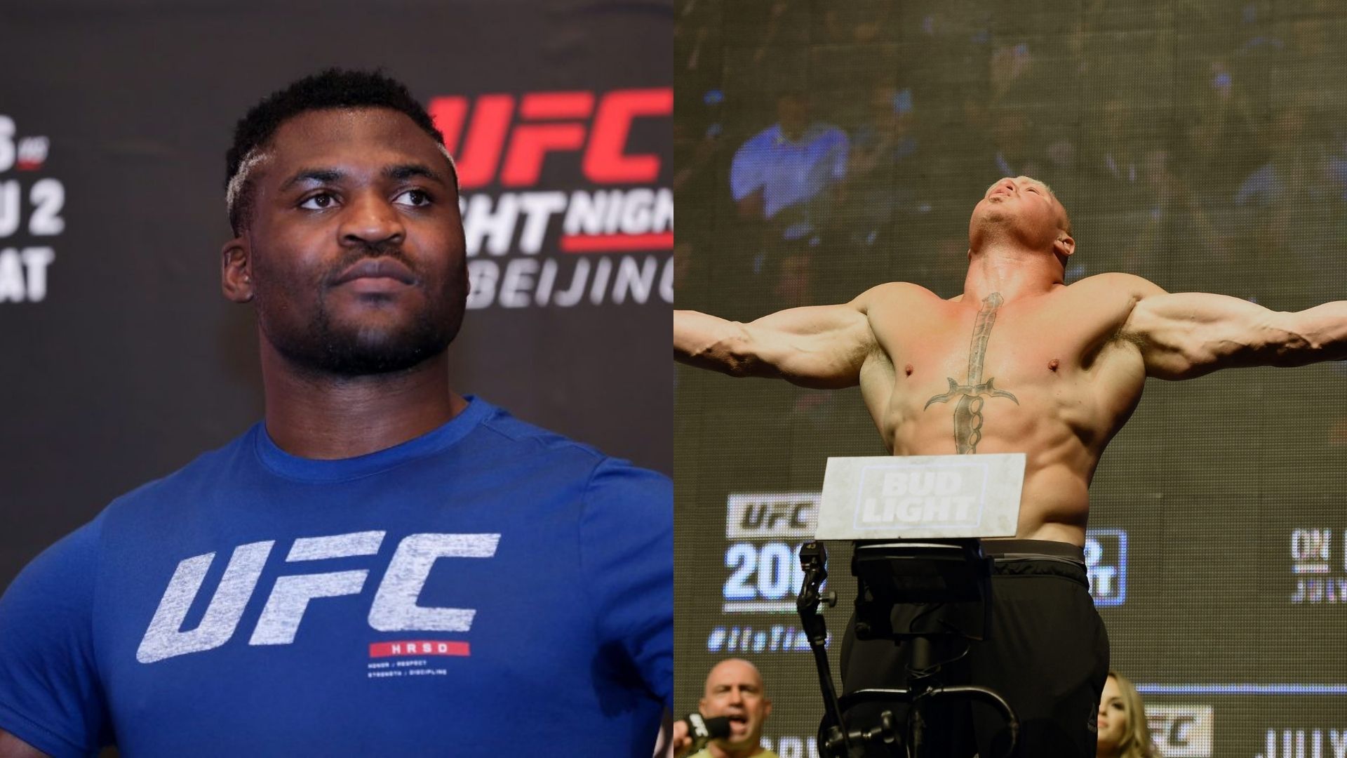 Brock Lesnar and Francis Ngannou have fought in the UFC Heavyweight division