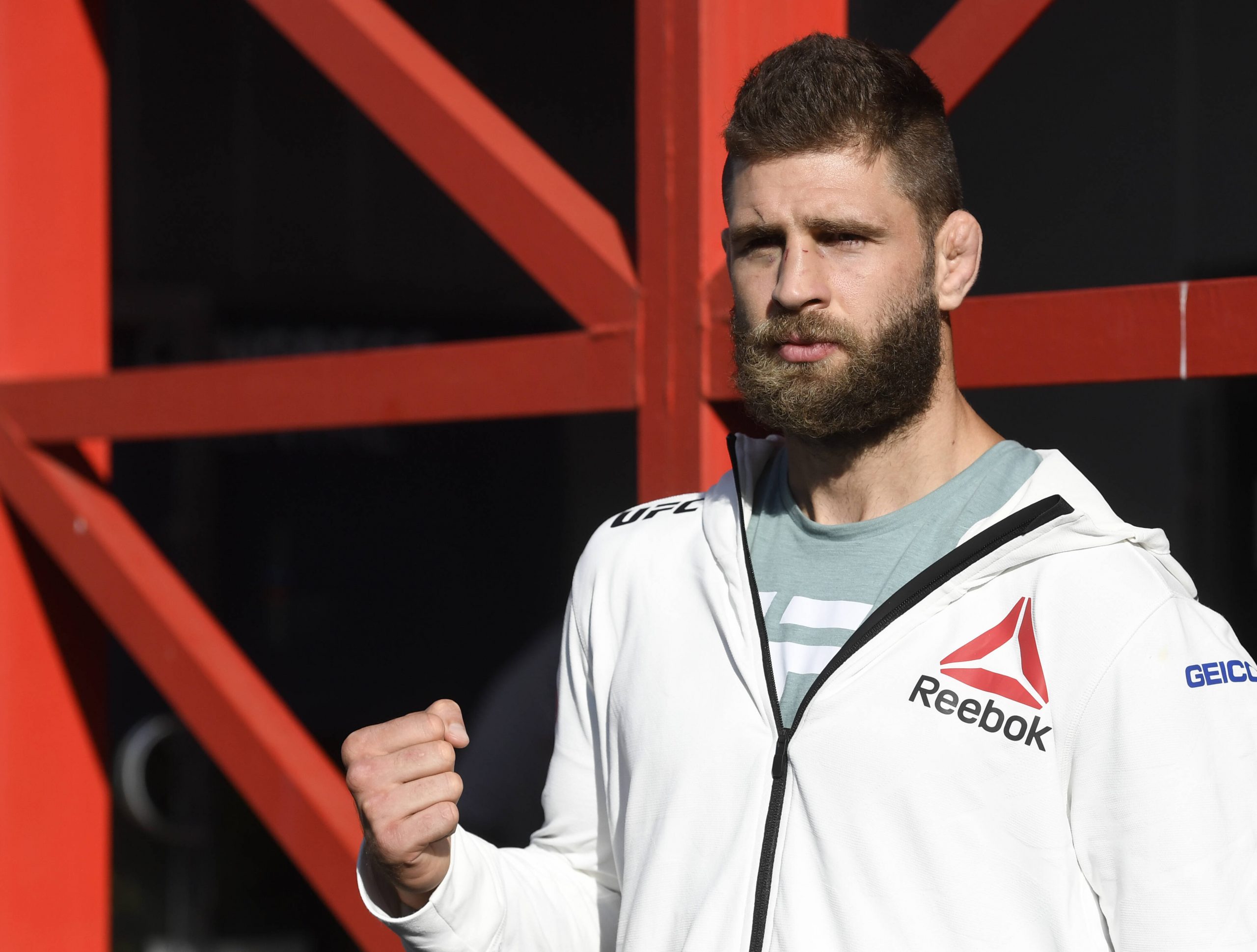 Prochazka jiri UFC news: