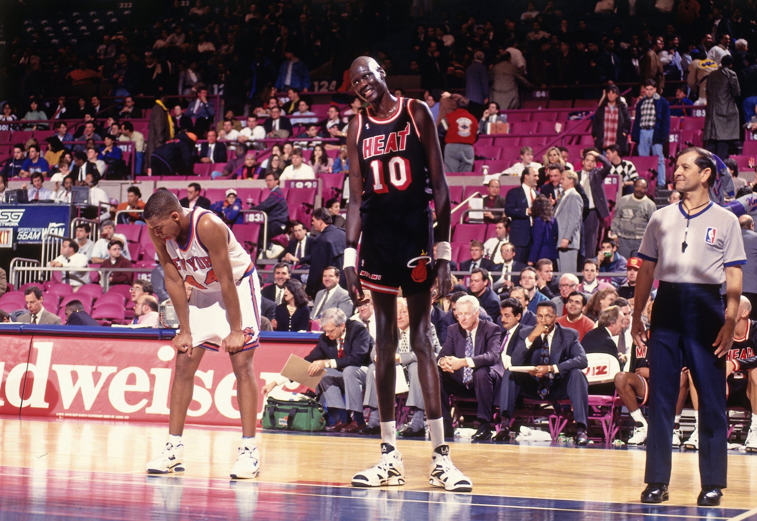 Top 10 Tallest NBA Players of All Time - RakeTheRake