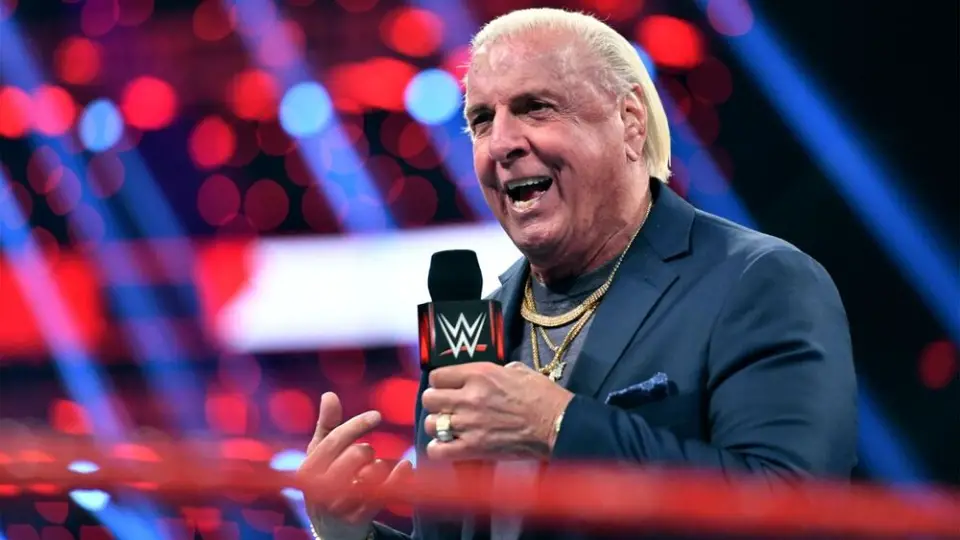 Ric Flair released WWE