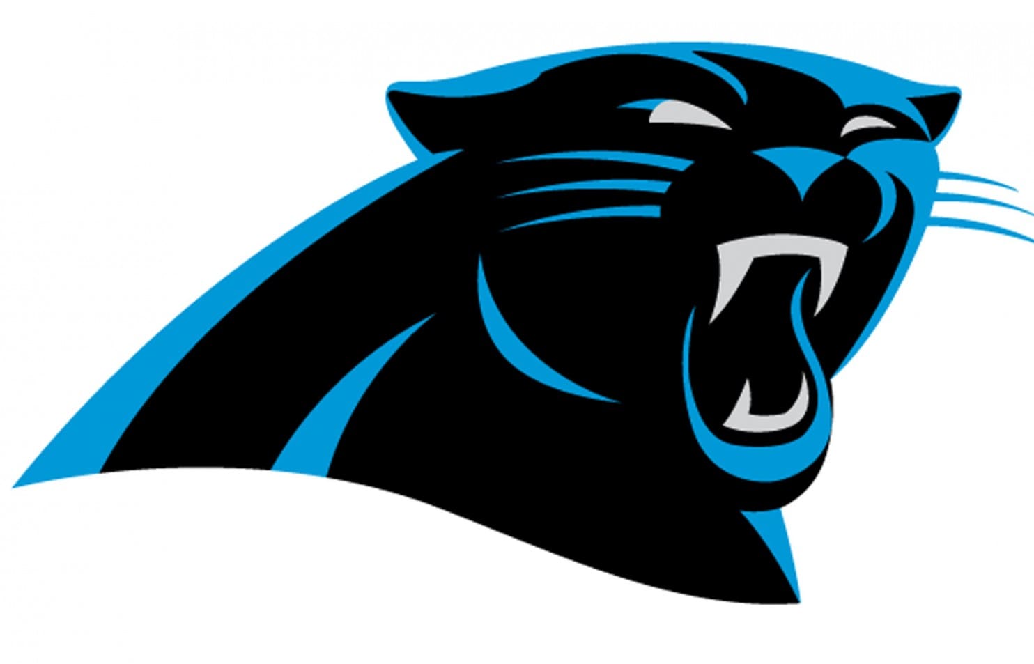 Carolina Panthers 2021 NFL Schedule, roster, live stream without Reddit