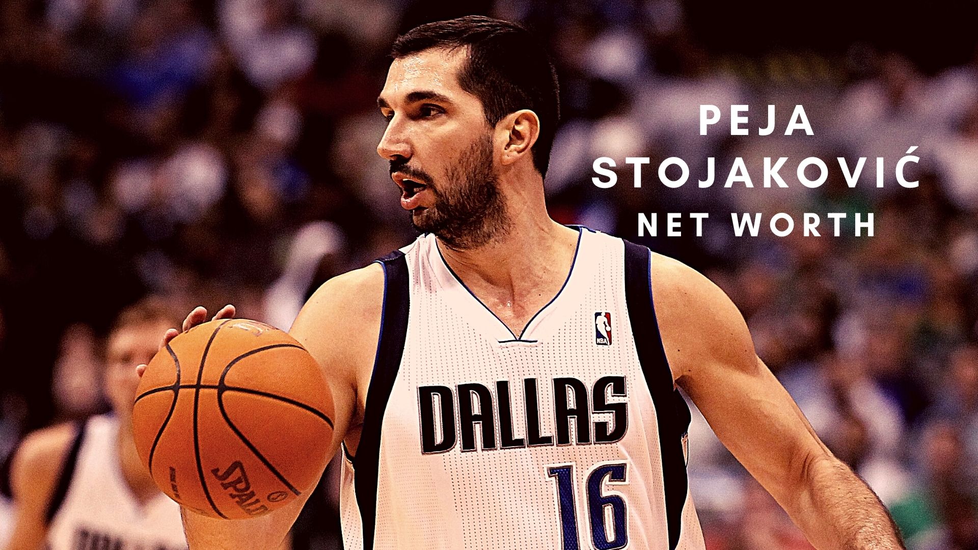 Peja Stojakovic 2021 - Net Worth, Salary, Records, and Endorsements