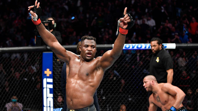 francis ngannou