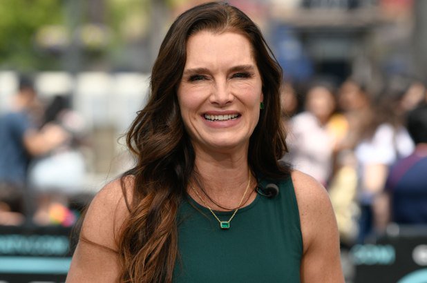 Brooke Shields Net Worth, Career, and Personal Life