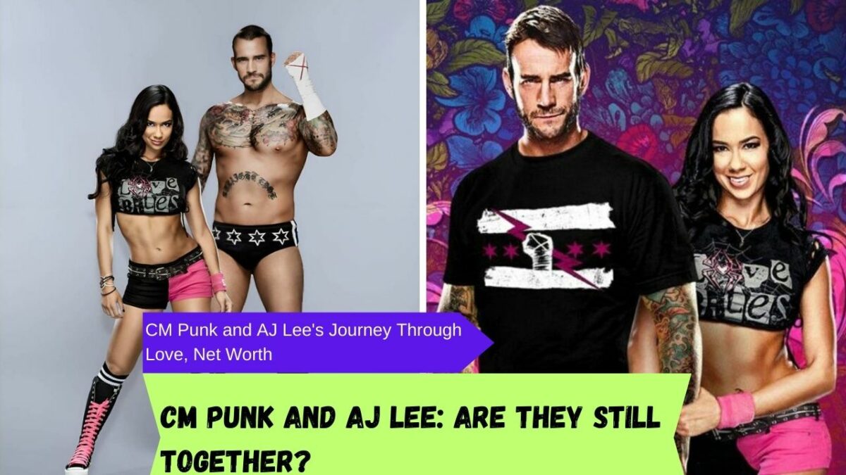 Is It Real Or Just Rumour: CM Punk And AJ Lee