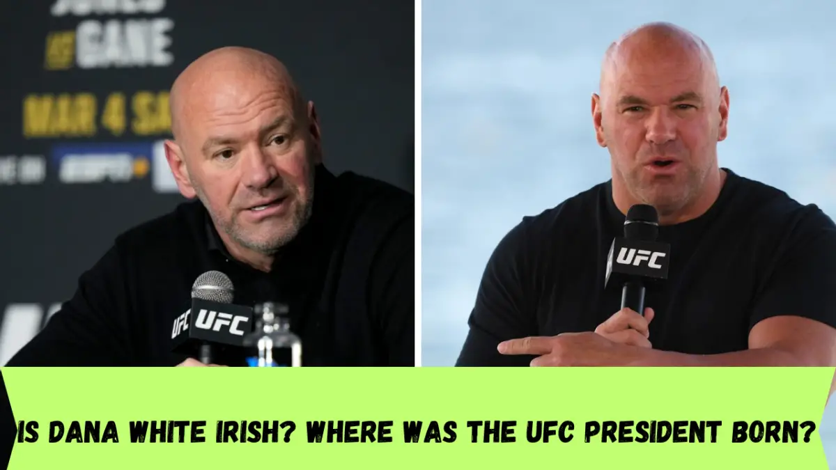 Is Dana White Irish? Where was the UFC President born?