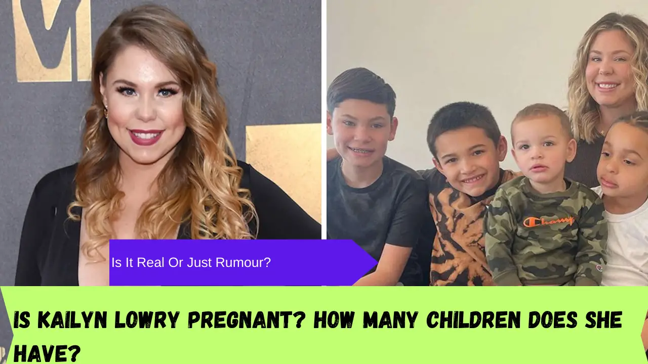 Is Kailyn Lowry pregnant? How many children does she have?