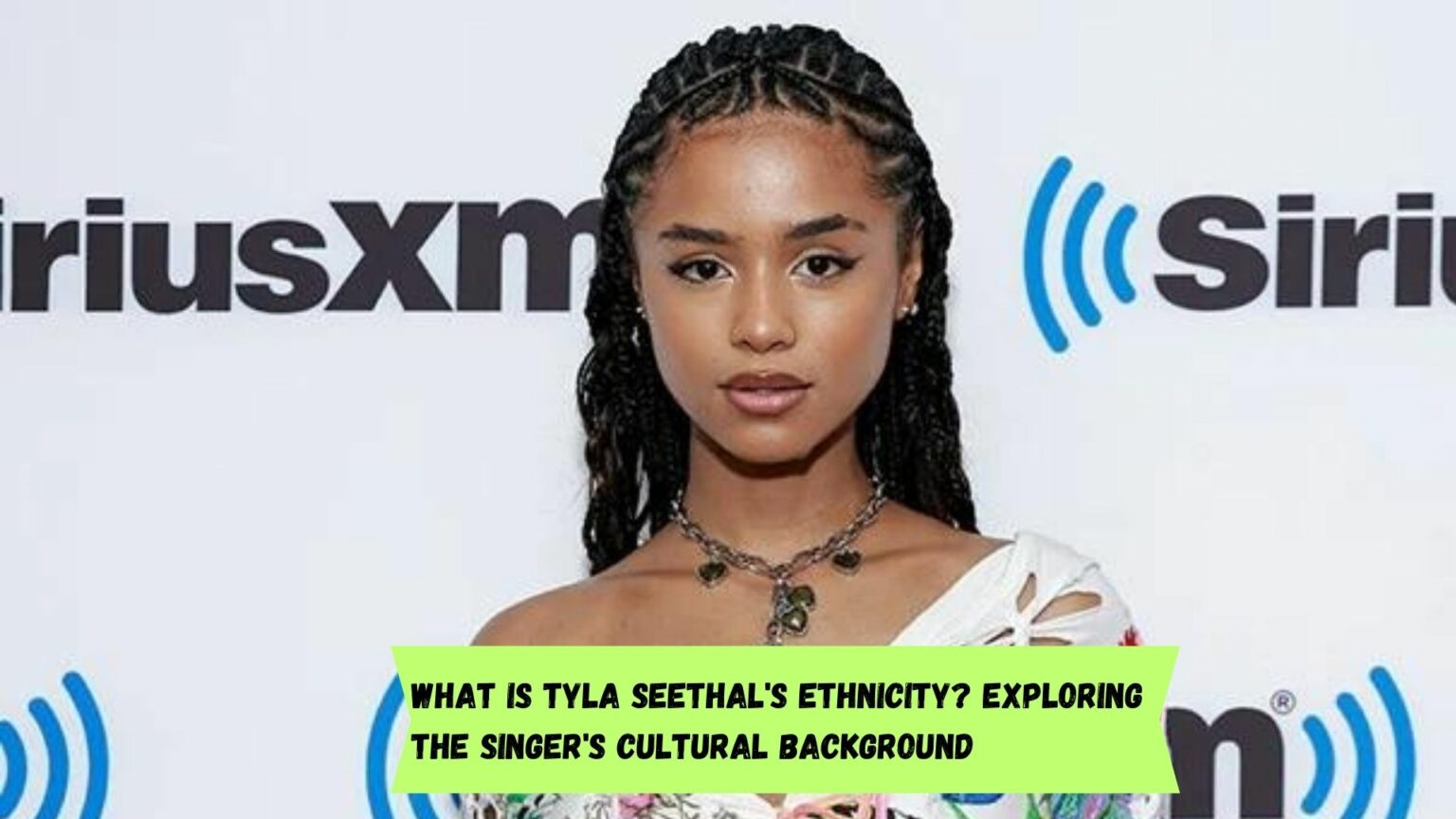 What is Tyla Seethal's Ethnicity? Exploring the singer's cultural