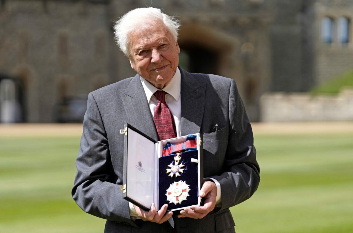 David Attenborough. GettyImages 1241173121 89f9548