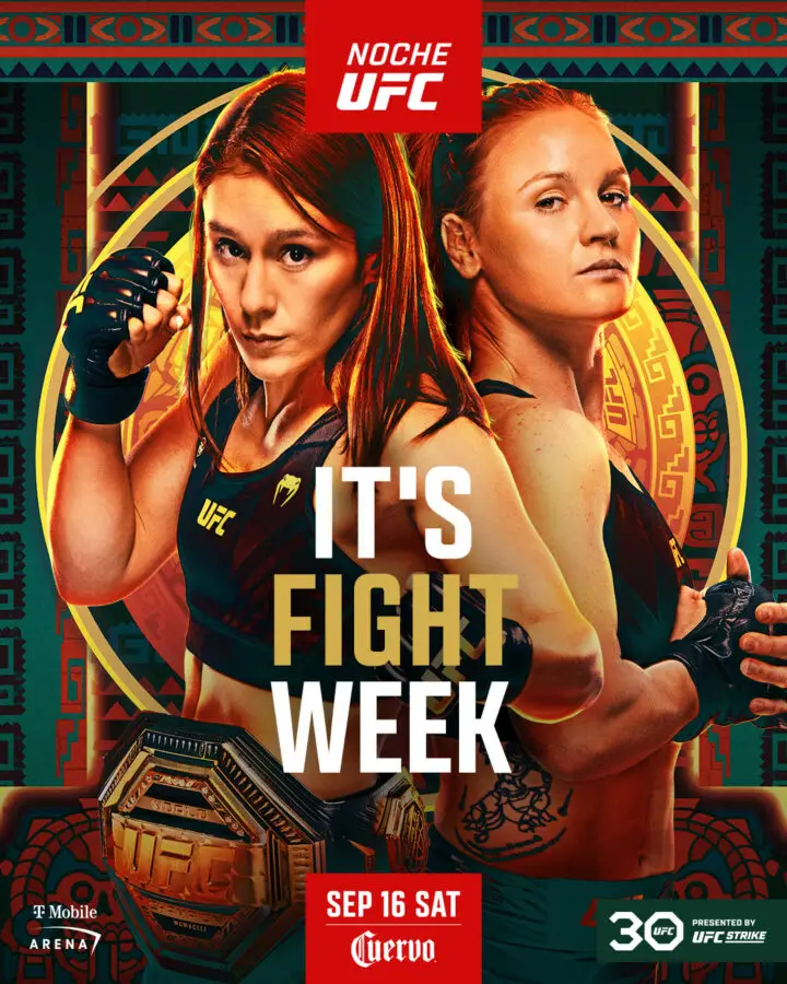 Noche UFC poster