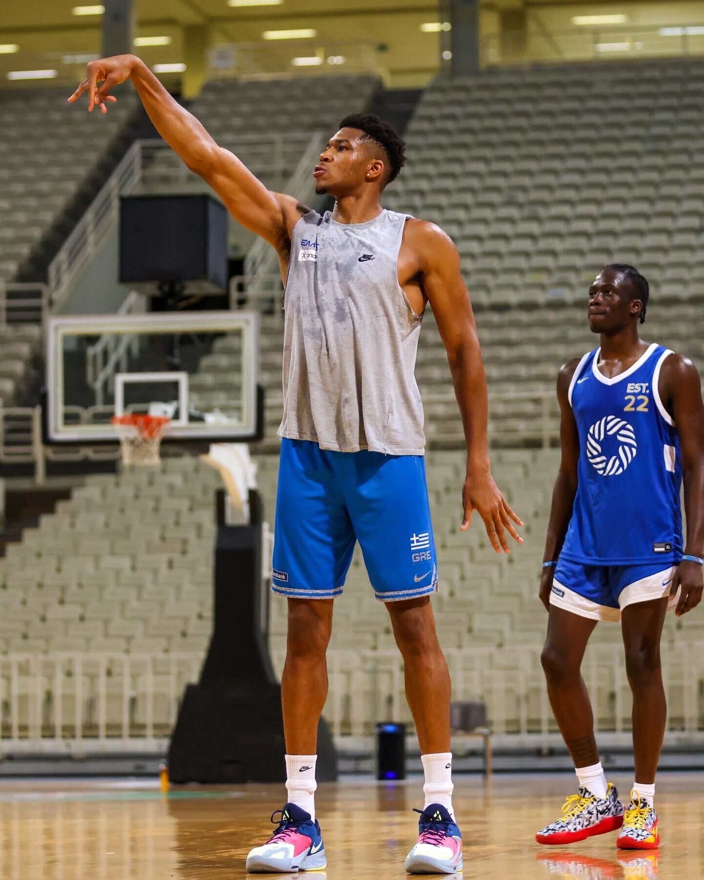 giannis antetokounmpo shoes champs