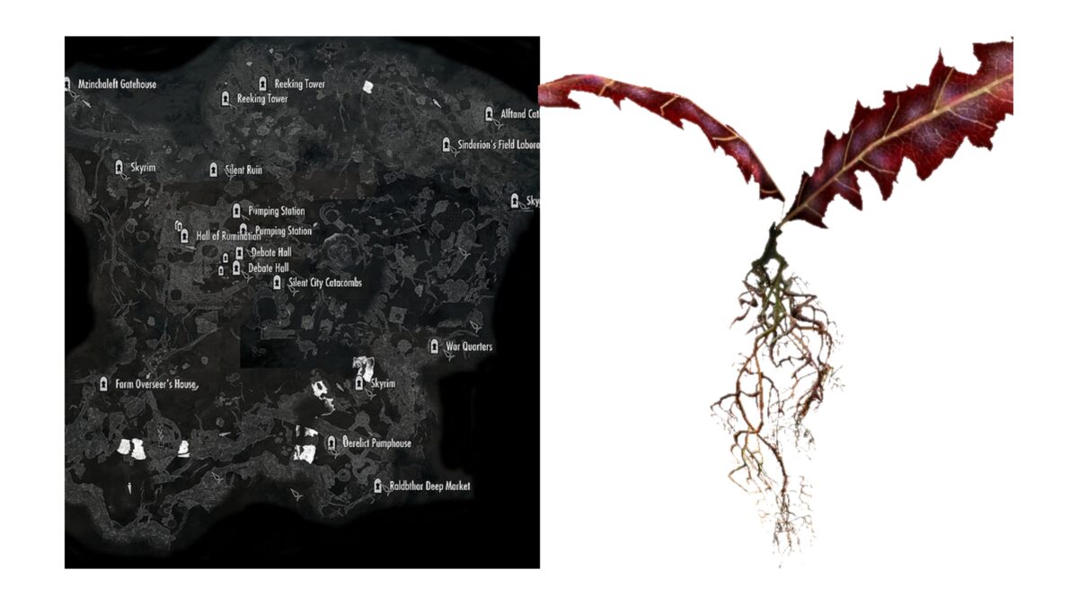 All Crimson Nirnroot Locations in Elder Scrolls V Skyrim Media Referee