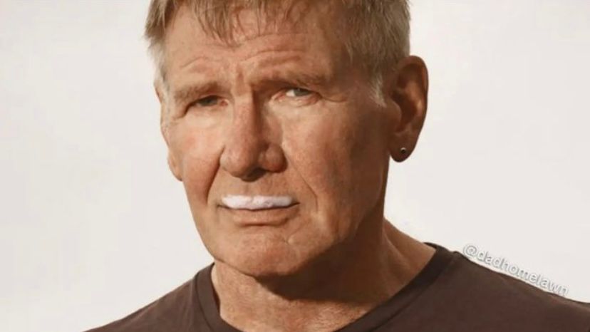 Why did Harrison Ford become a meme?