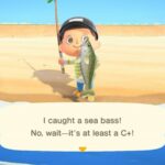 Animal Crossing New Horizons Fish