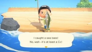 Animal Crossing New Horizons Fish