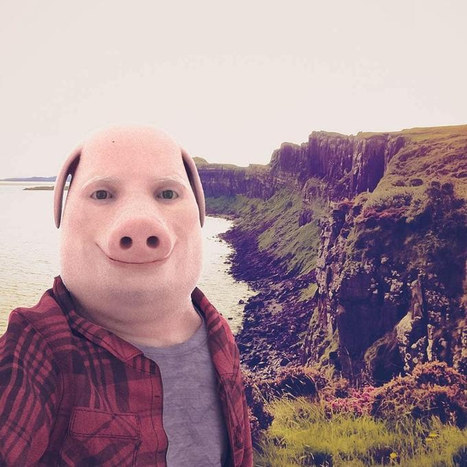 What is John Pork is calling? Meme takes TikTok by storm