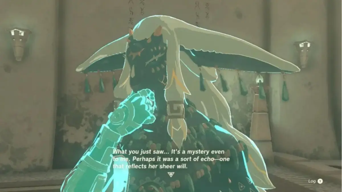 Zelda Tears of the Kingdom Rauru
